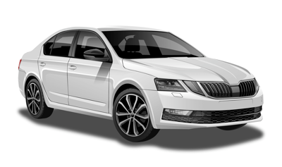 Large rental cars