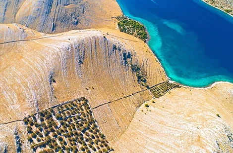 Apartments in Dalmatia