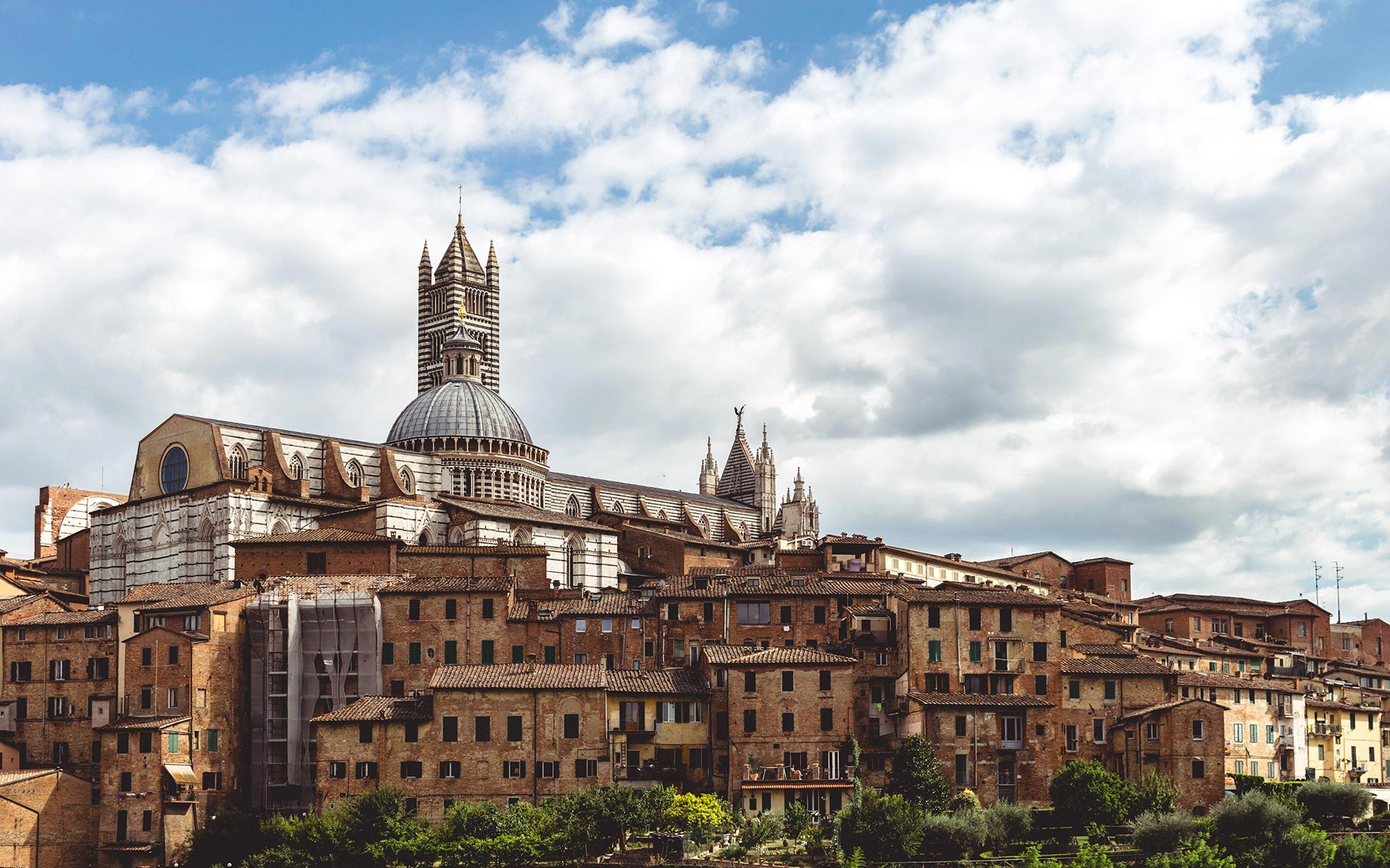 Siena skyline with the striped Duomo and bell tower, Tuscany